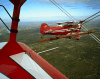 Pitts S1S