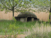 Bunker Meadow