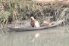 Small Canoe Everywhere Water