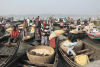 View Floating Rice Market