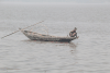 Fishing Ganges Delta