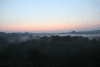 Morning Mist Sundarbans Before
