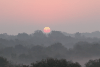 Sunrise Sundarbans