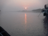 Morning Mist Sundarbans