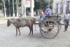 Horse-drawn Cart