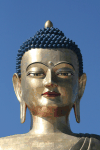 Beautiful Head Statue