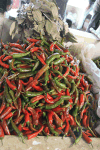Chili Peppers Market Thimphu