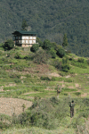 House Typical Bhutanese Style