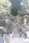 Inca Stairs Isla Del