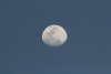 Almost Full Moon