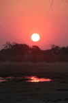Sunset Botswana