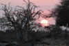 Sunrise Botswana