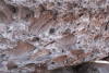 Close-up Sedimentary Rock