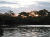 Sunset River Pantanal