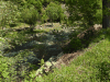 Mountain Creek Rila National