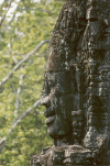 Angkor Thom face