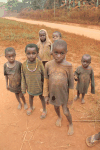 Kids Pygmy Village