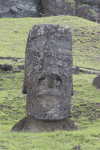 Front View Moai Showing
