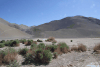 View Andes Parque Nacional