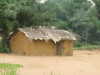 Local House