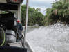 Boat Ride Tortuguero Bus