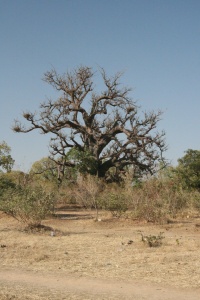 Burkina Faso nature page