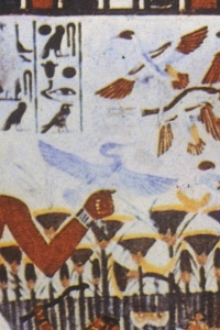 EGYPT BENU Banner