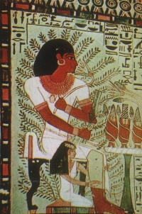 EGYPT VALLEY NOBLES Banner