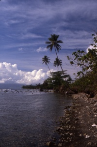 FRENCH POLYNESIA NATURE Banner
