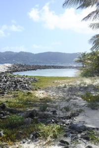 Grenada Carriacou