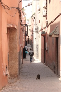 Morocco Marrakesh