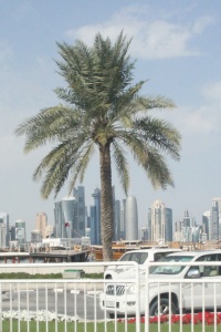 Qatar nature page
