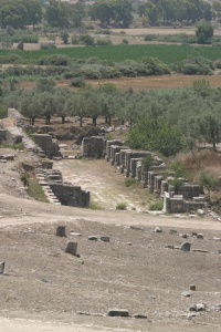 Turkey Milet