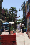 Callejon De Hamel Havana