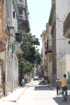 Street Old Havana