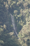 Waterfall Cloud Forest Water