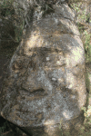 Stone Carved Head Floreana