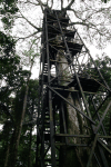 Canopy Tower La Selva