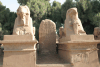 Closeup Two Sphinx