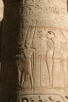 Relief Ptah Right Amun