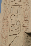 Hieroglyphics Cartouche Name Thutmose