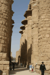 Colonnade Huge Columns "precinct