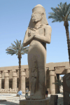 View Statue Ramesses Ii