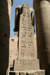 Back Statues Court Amunhotep