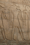 Relief Anubis Luxor Temple