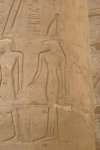 Relief Tephnut Holding Papyrus