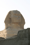Close-up Head Great Sphinx