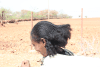 Hairdo Tigray Woman