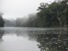 River Morning Mist