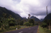 Road Tahiti